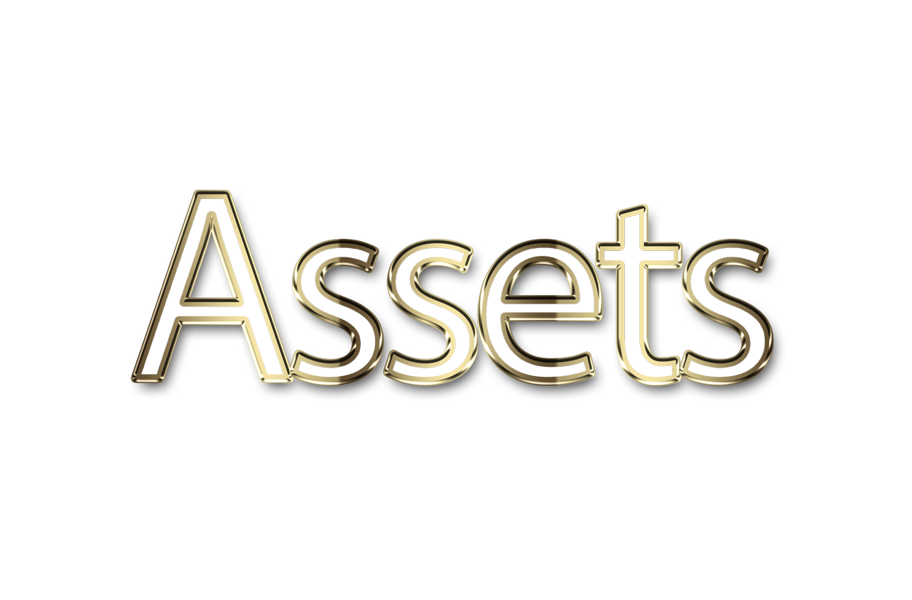 Assets png, word Assets png, Assets word png, Assets text png, Assets letters png, Assets word art typography PNG images, transparent png